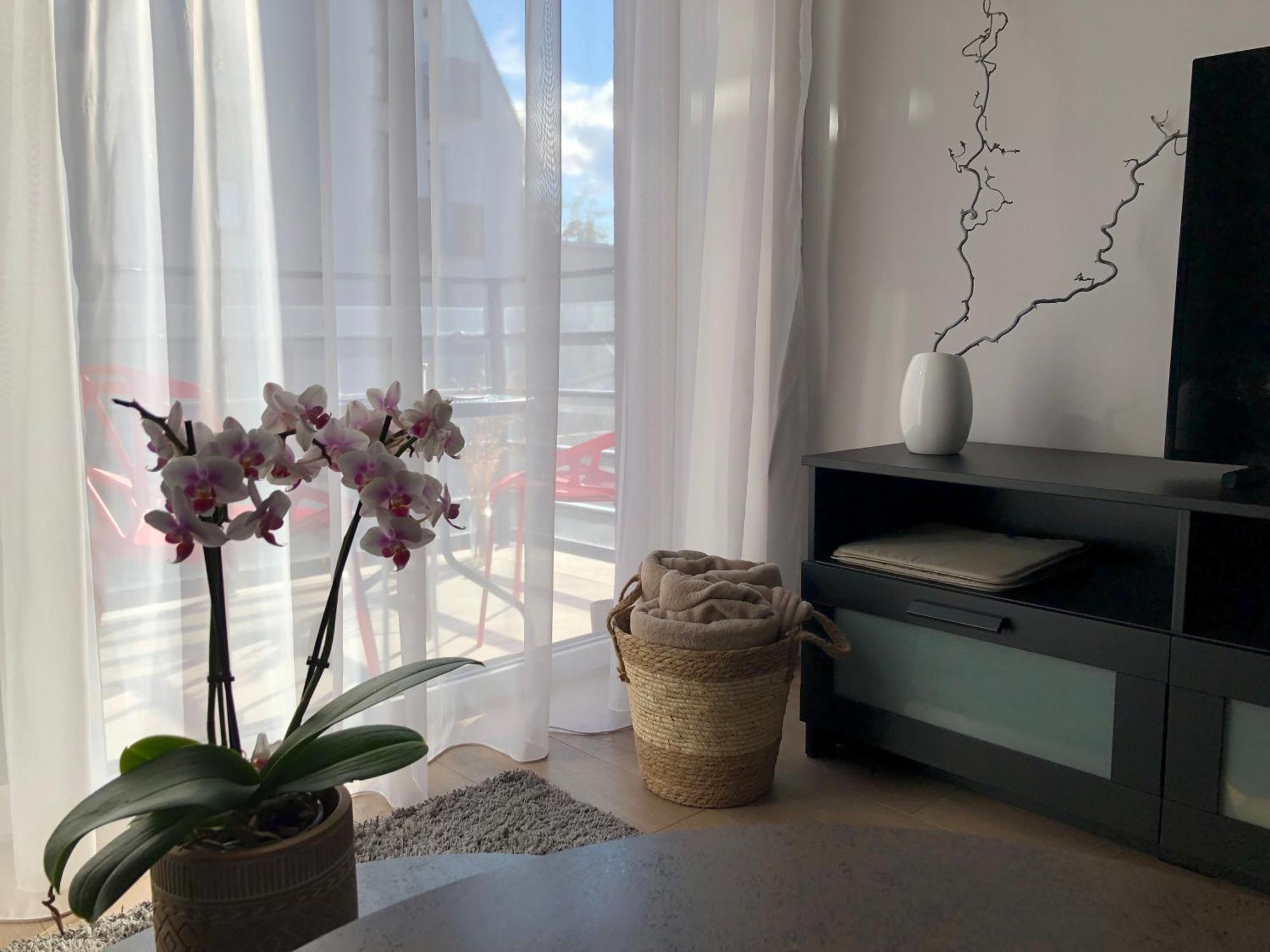 Cosy 1 Bedroom Apartment In The Heart Of Old Town With Parking Kaunas Exterior foto